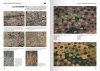 AK Interactive AK130008 WAFFEN-SS CAMOUFLAGE UNIFORMS BY WERNER PALINCKX ( English )